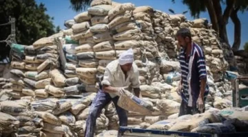 تغيرات جديدة في أسعار طن الأسمنت بمصانع ومحافظات مصر يوم السبت